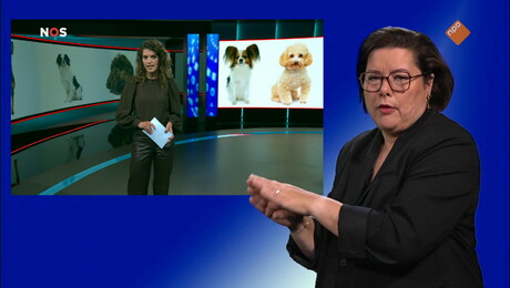 Het NOS Jeugdjournaal